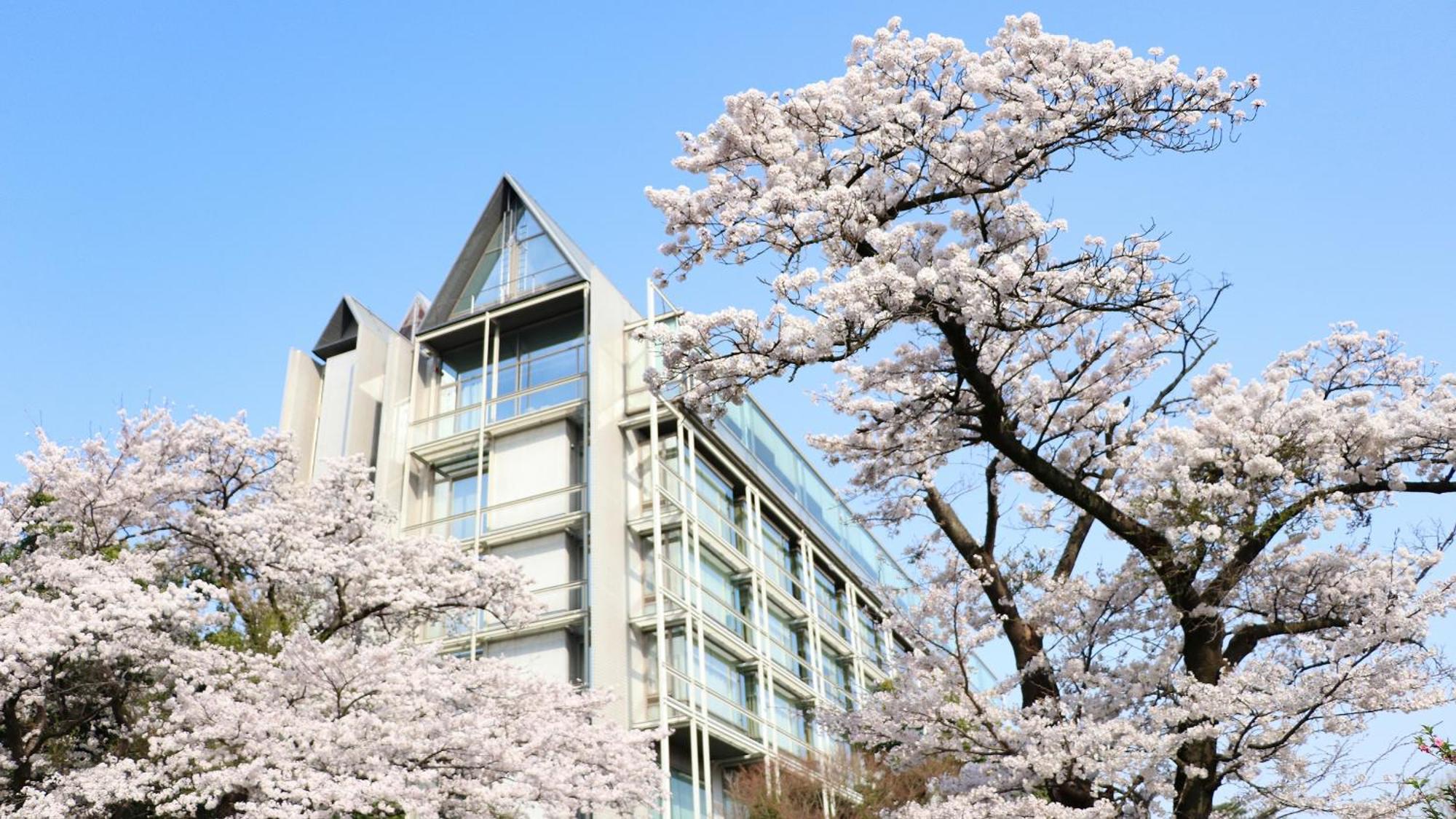 Kikusuitei Higashimurayama Luaran gambar